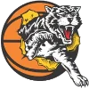 Logo Willetton Tigers Women