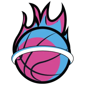 Logo Miami Heat